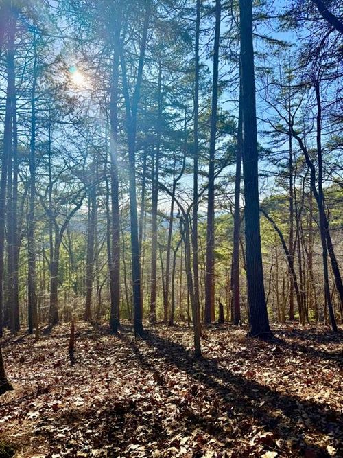 334 Packet Ct Ne, Ranger, GA, 30734 | Card Image