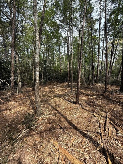 TBD Roughneck Rd, Conroe, TX, 77306 | Card Image