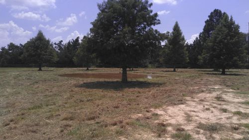 32519 Gadwall St, Brookshire, TX, 77423-8375 | Card Image