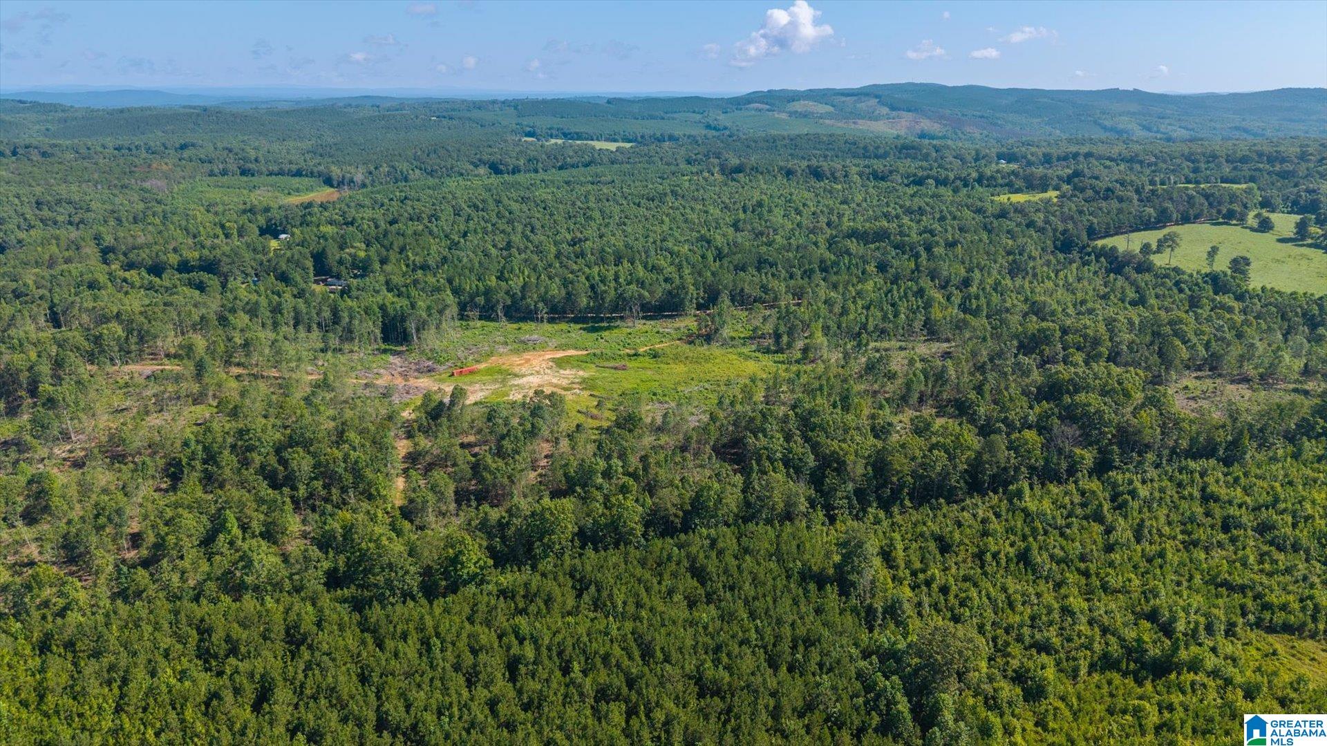 Land in HEFLIN 5