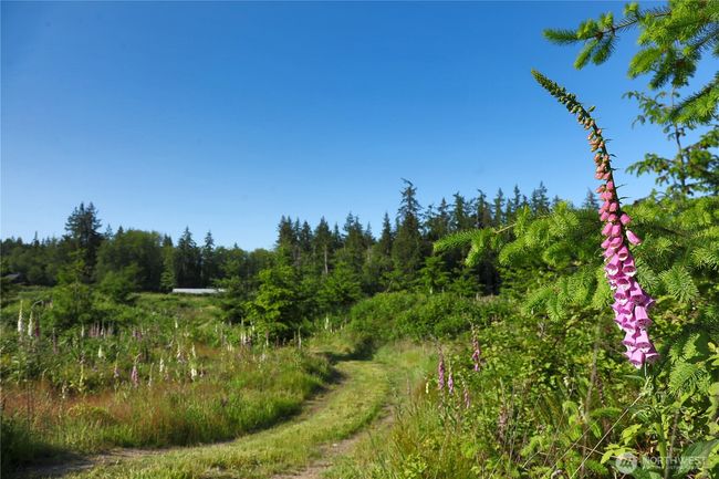 2062 Goodell Rd, Home with 0 bedrooms, 0 bathrooms and null parking in Freeland WA | Image 26