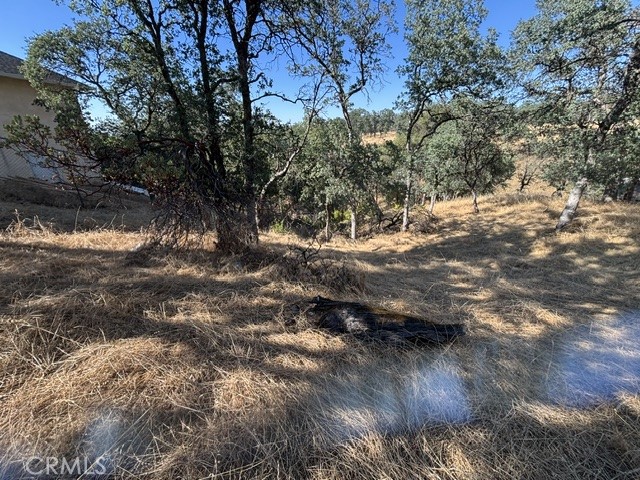 Land in Cottonwood