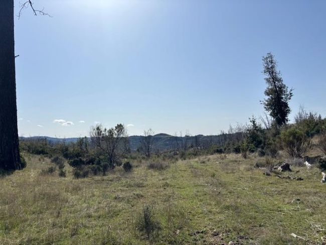 19292 Shawnee Trl, Home with 0 bedrooms, 0 bathrooms and null parking in Mokelumne Hill CA | Image 23