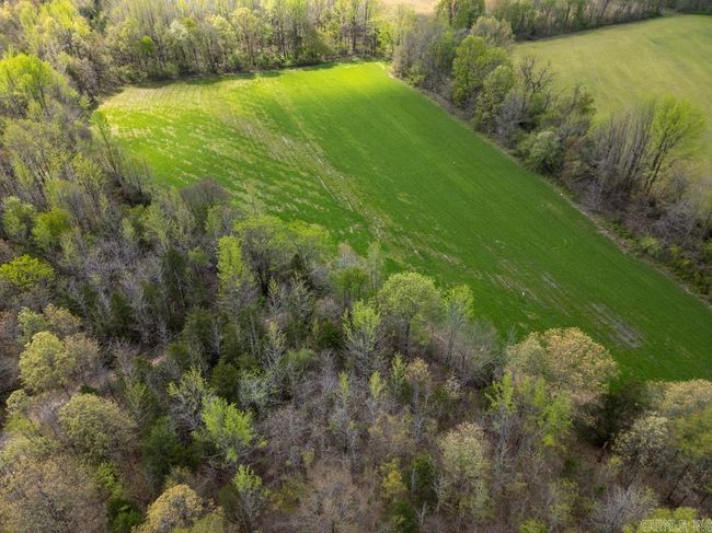 9 County Road 422, Home with 0 bedrooms, 0 bathrooms and null parking in Rector AR | Image 21