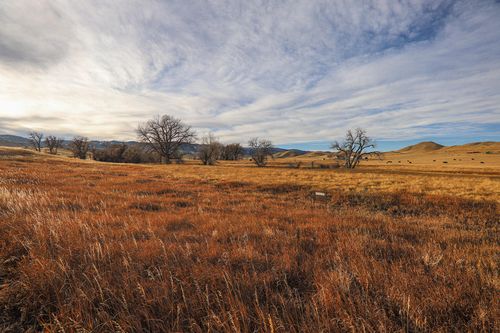 68 High Camp Ln, Buffalo, WY, 82834 | Card Image