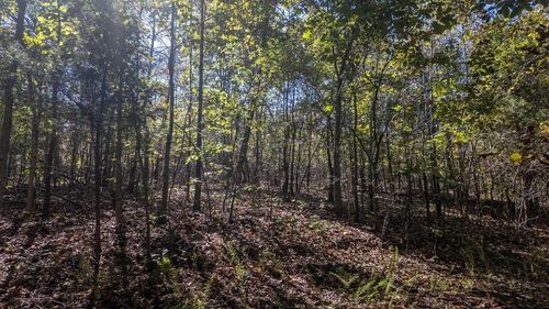 000 Wetumka Dr, Cherokee Village, AR, 72529 | Card Image