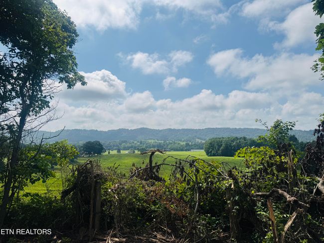 1 Mill Creek Rd, Home with 0 bedrooms, 0 bathrooms and null parking in Andersonville TN | Image 7