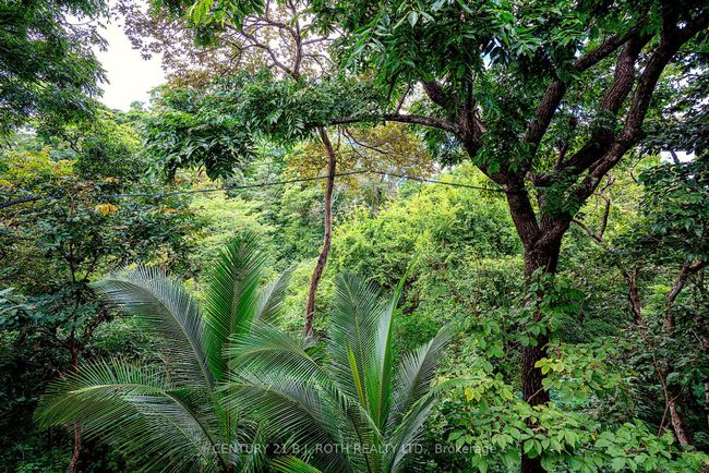 1 Howler Heights, Condo with 2 bedrooms, 2 bathrooms and 4 parking in Costa Rica ON | Image 15