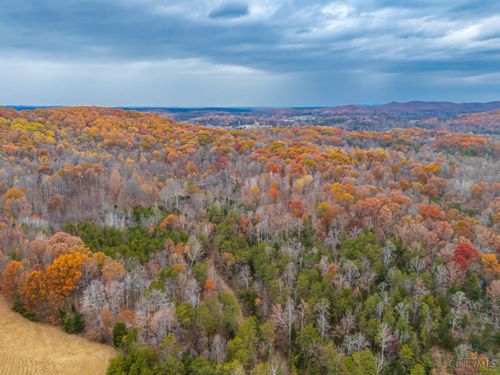 1186 Tulip Rd, Lynx, OH, 45650-9000 | Card Image