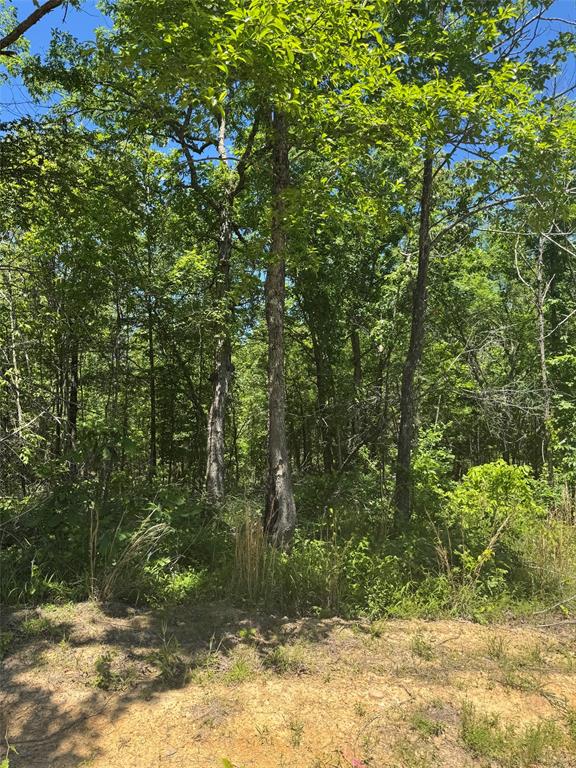 Land in Watson 4