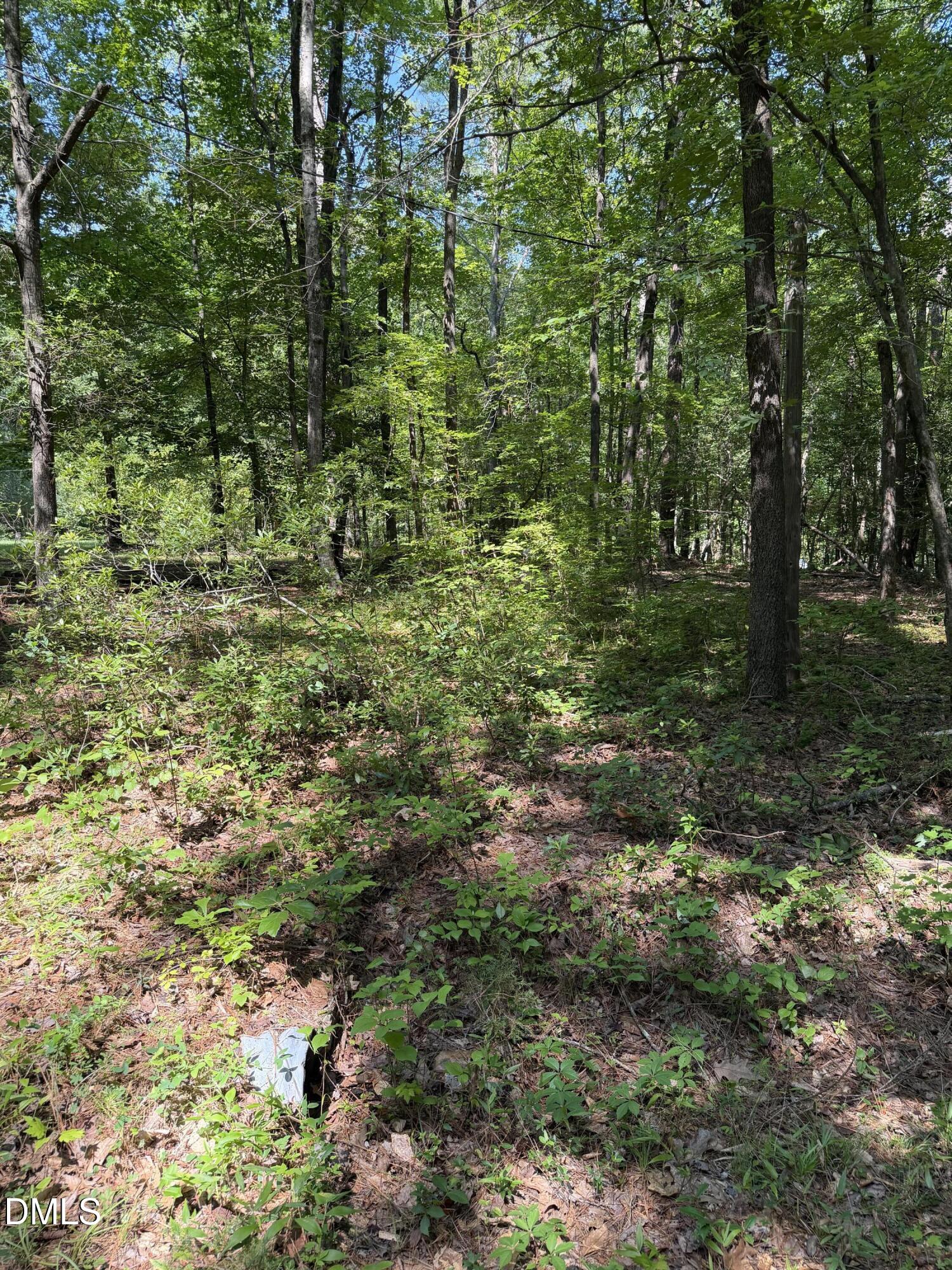 Land in Louisburg 2