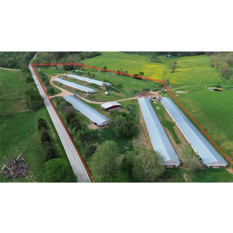 Farm in Green Forest 3
