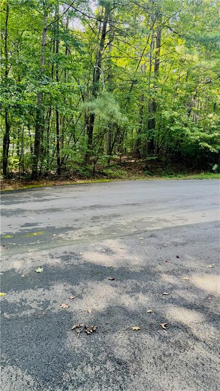 Land in Villa Rica 3