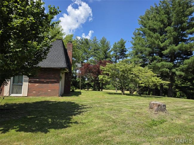 View of grassy yard | Image 4
