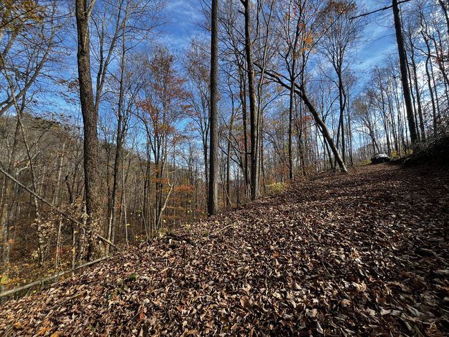 0 Northcutts Cove Rd, Home with 0 bedrooms, 0 bathrooms and null parking in Beersheba Springs TN | Image 25