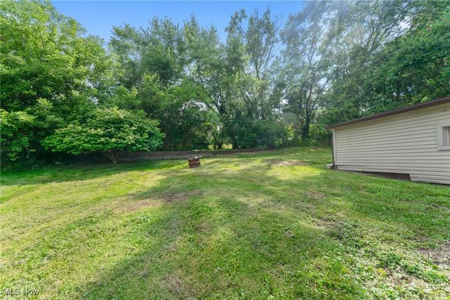 View of grassy yard | Image 4