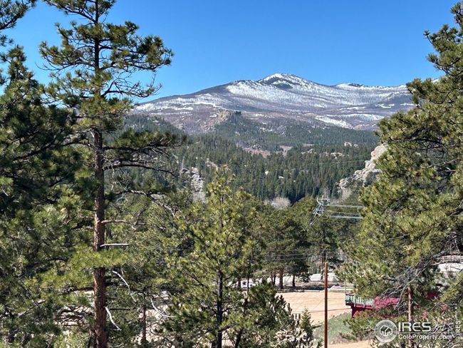 295 Piney Knolls Dr, Home with 0 bedrooms, 0 bathrooms and null parking in Red Feather Lakes CO | Image 5