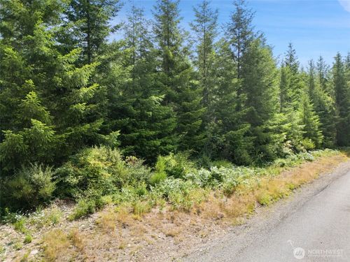 0 Lot A W Satsop Cloquallum Rd, Elma, WA, 98541 | Card Image