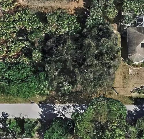 8536 Raoul Ave, NORTH PORT, FL, 34291-3838 | Card Image