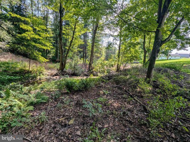 68 Bald Hill Rd, House other with 1 bedrooms, 1 bathrooms and null parking in FRENCHVILLE PA | Image 36