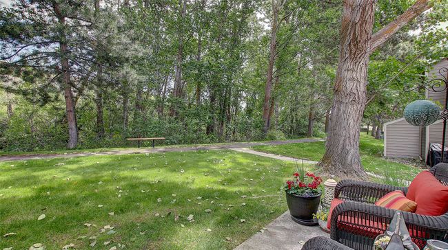 View of grassy yard | Image 31