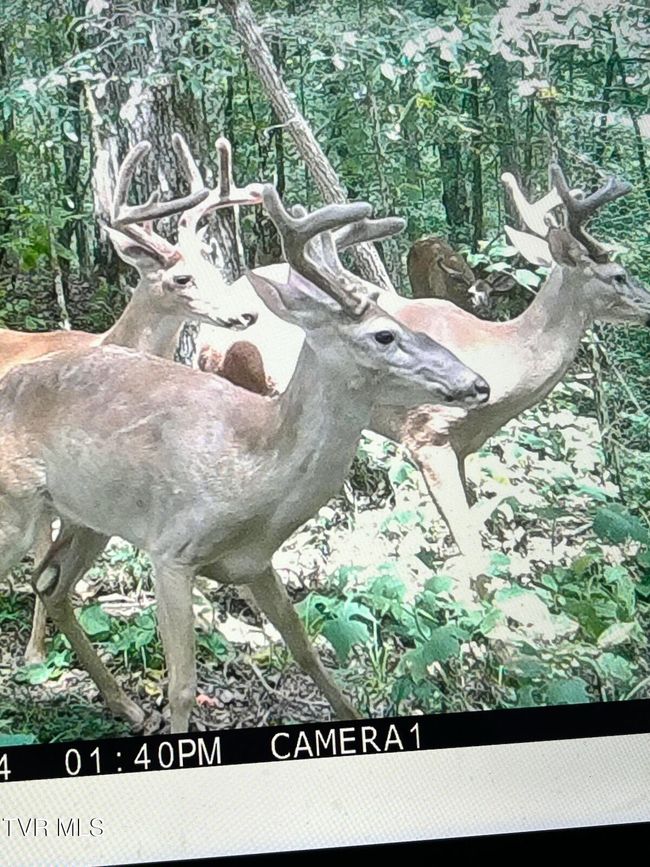 1300 Fish Hatchery Rd, House other with 3 bedrooms, 2 bathrooms and null parking in Mohawk TN | Image 92