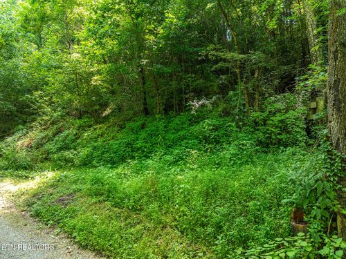 174 Old Ivey Hollow Rd, La Follette, TN, 37766 | Card Image