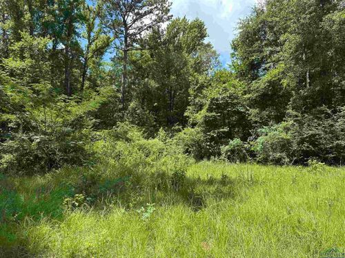 804 Fox Hunting Rd, Elysian Fields, TX, 75642 | Card Image