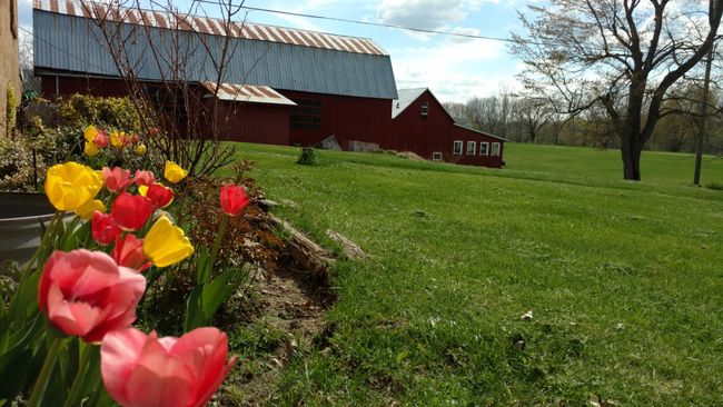 Spring has arrived | Image 42