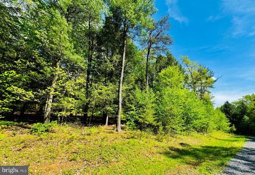 Lot: 11 Tar Kiln Rd, James Creek, PA, 16657-7102 | Card Image