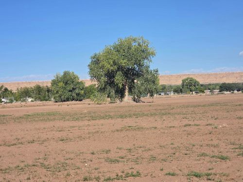 e-5-18-VL Land Of Atalio Chavez Tract: A, Bosque, NM, 87006 | Card Image
