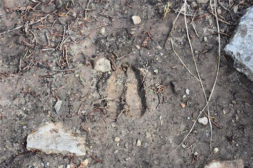 * Cedar Creek Rd, Flippin, AR, 72634 | Card Image