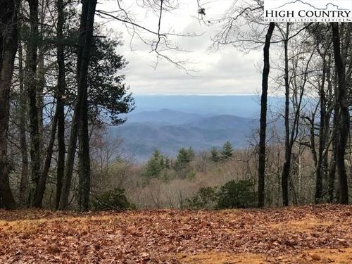 156 Oak Cir, Glade Valley, NC, 28627 | Card Image