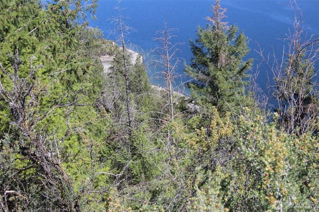39395 Bluff Overlook Pt N, Home with 0 bedrooms, 0 bathrooms and null parking in Lincoln WA | Image 4