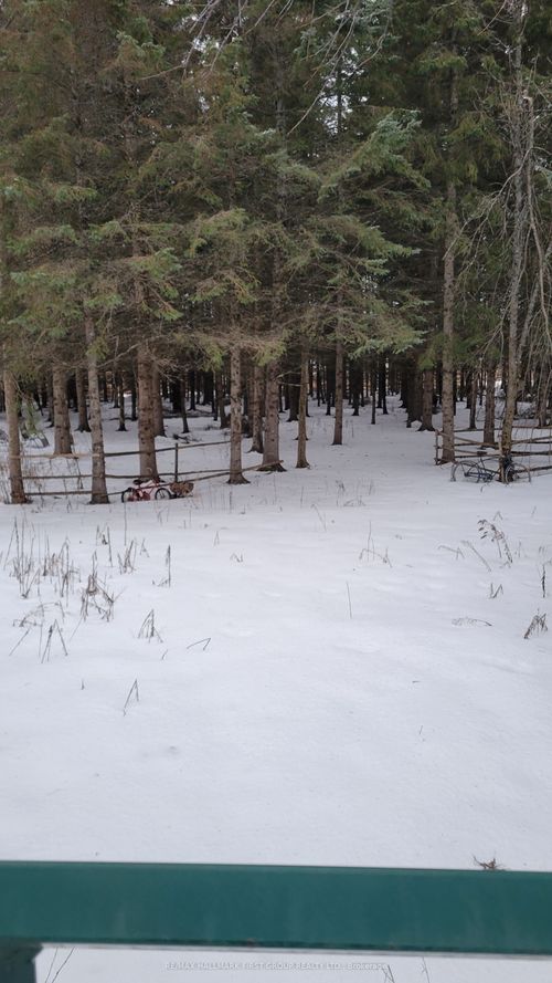 8 St Marks Rd, Marmora, ON, K0K2M0 | Card Image