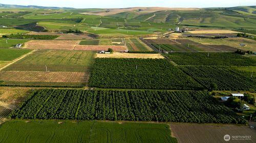 84031 Edwards Rd, Milton-Freewater, OR, 97862-6916 | Card Image