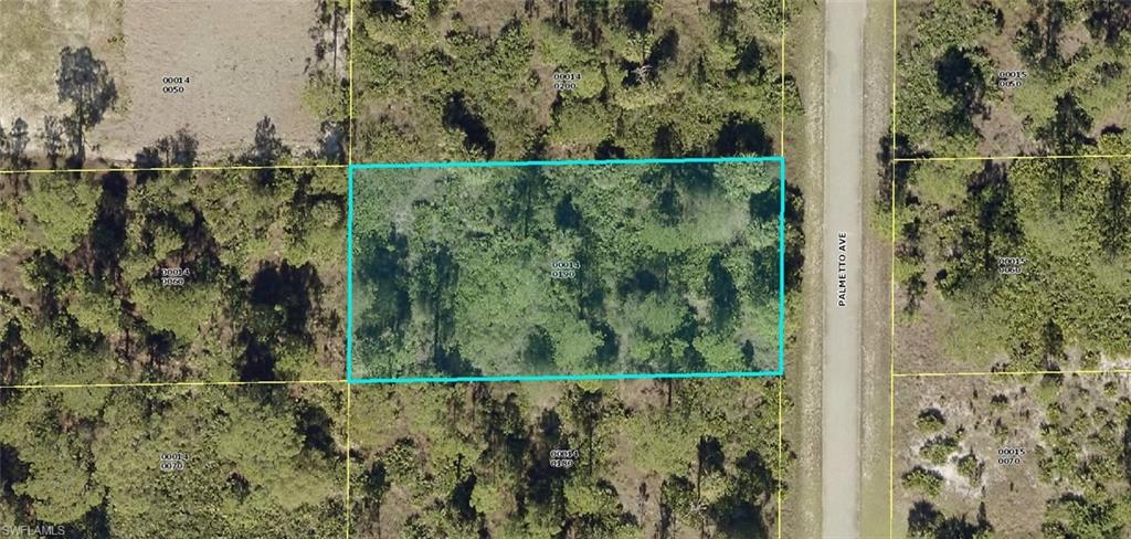 Land in LEHIGH ACRES
