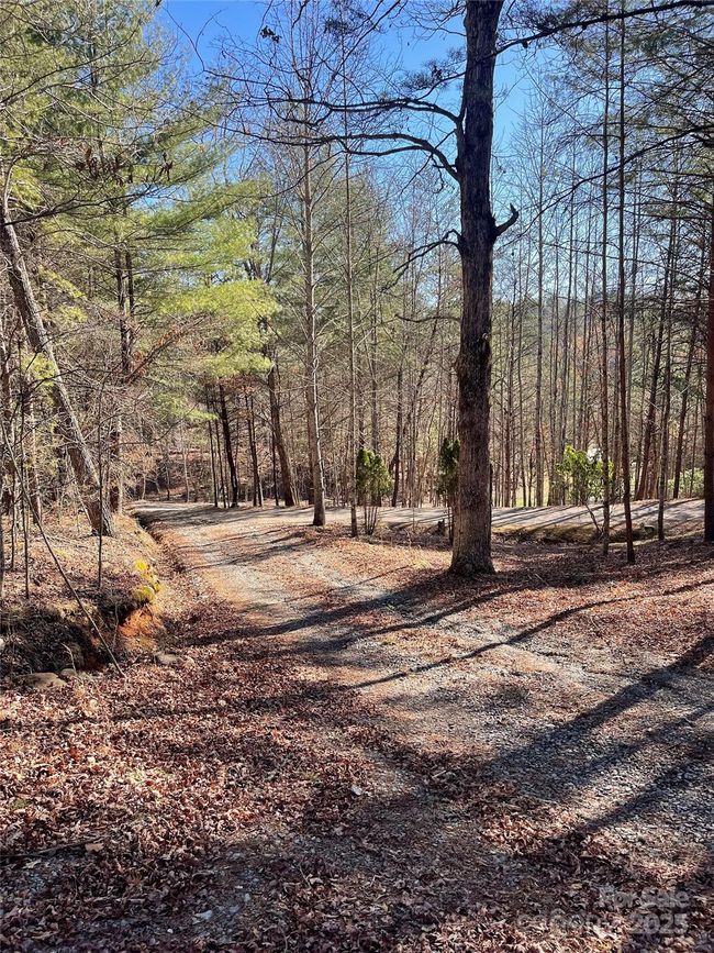 0000 Pine Log Rd, Home with 0 bedrooms, 0 bathrooms and null parking in Warne NC | Image 4