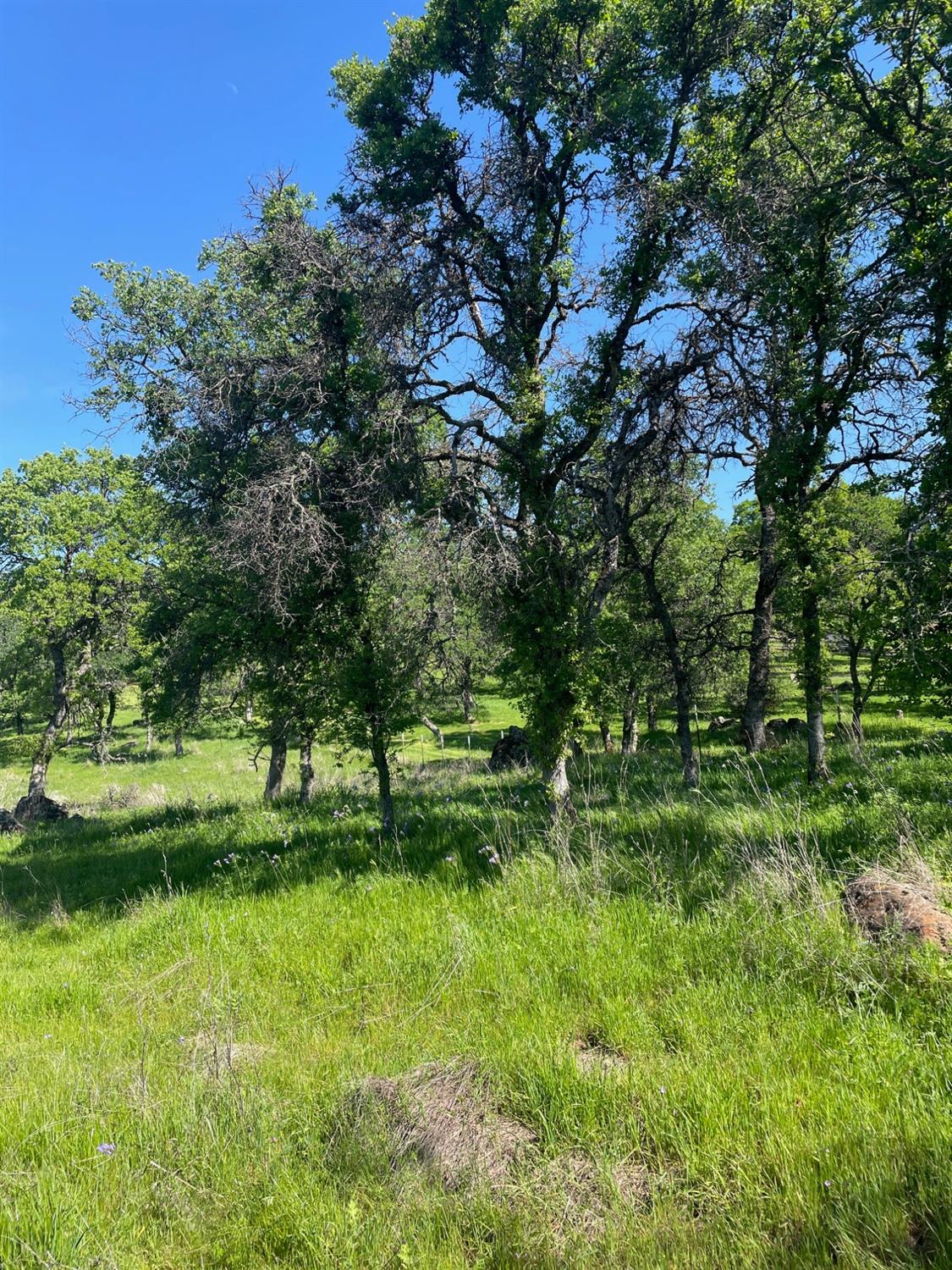 Land in Browns Valley 5