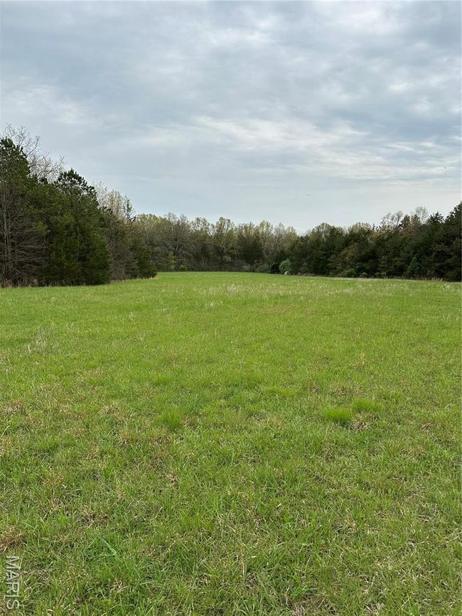 0 Butcher Branch Rd, Home with 0 bedrooms, 0 bathrooms and null parking in Hillsboro MO | Image 8