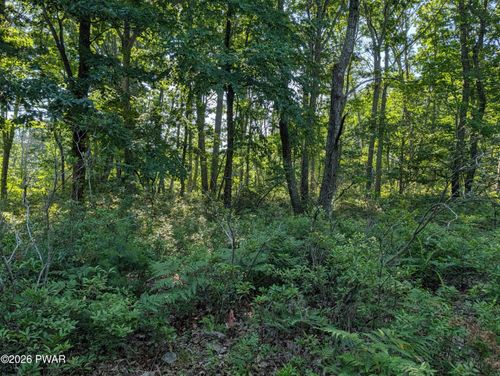 Lot2 Blk4 Sagamore, Shohola, PA, 18458 | Card Image
