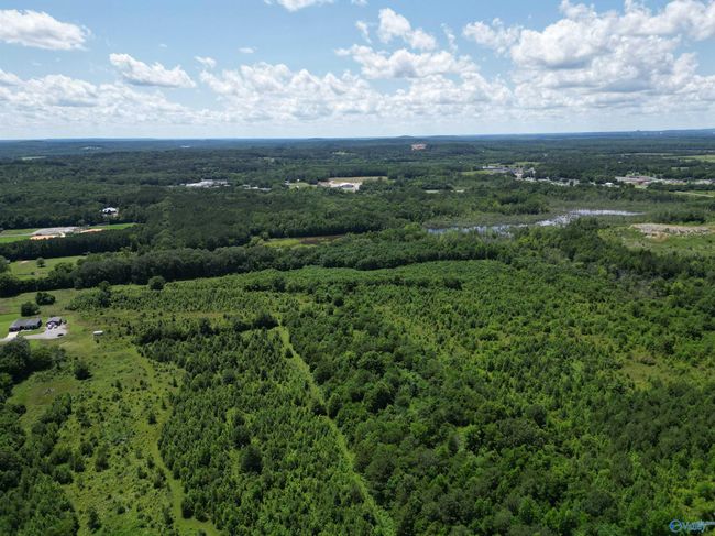 14 Acres Beaver Creek Rd, Home with 0 bedrooms, 0 bathrooms and null parking in Laceys Spring AL | Image 8