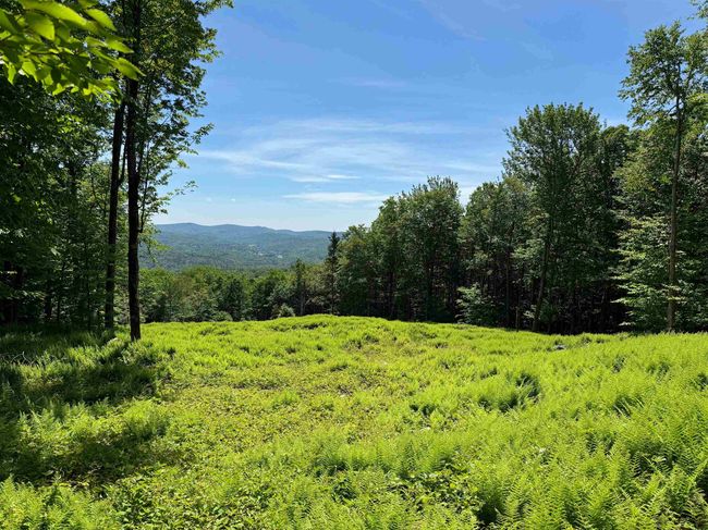 0 Spruce Grove Rd, Home with 0 bedrooms, 0 bathrooms and null parking in Wilmington VT | Image 6