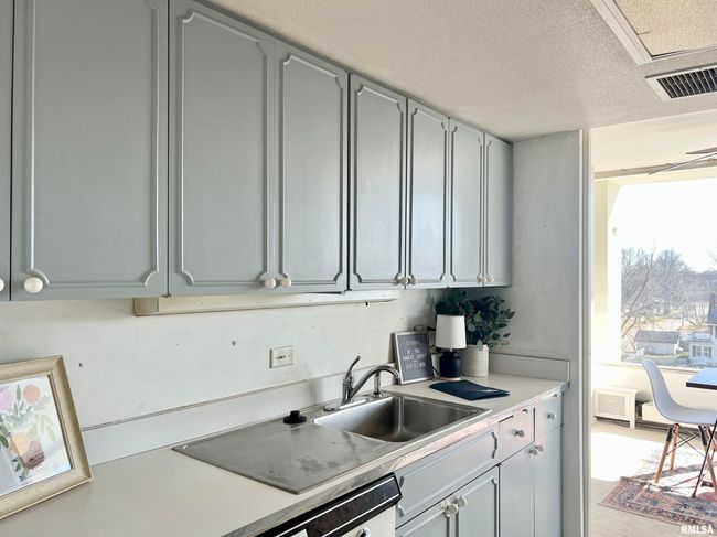5B - 1337 21 St Ave, Condo with 2 bedrooms, 2 bathrooms and null parking in Rock Island IL | Image 11