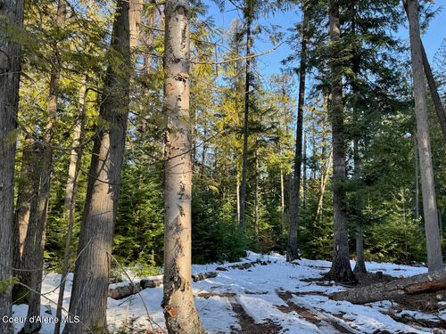 9775 Bottle Bay Rd, Sagle, ID, 83860-8103 | Card Image