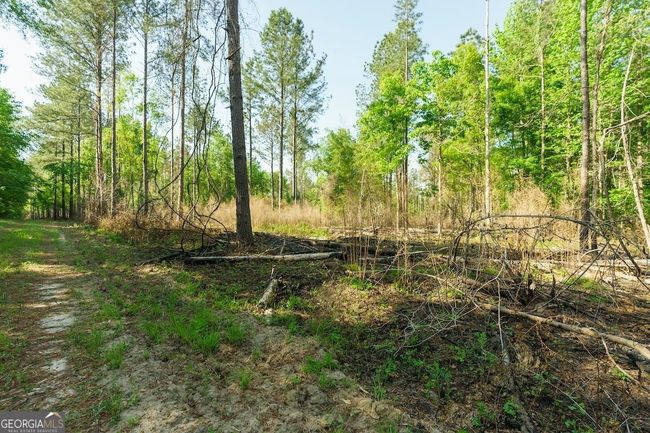 6053 Sun Hill Grange Rd, Home with 0 bedrooms, 0 bathrooms and null parking in Davisboro GA | Image 18