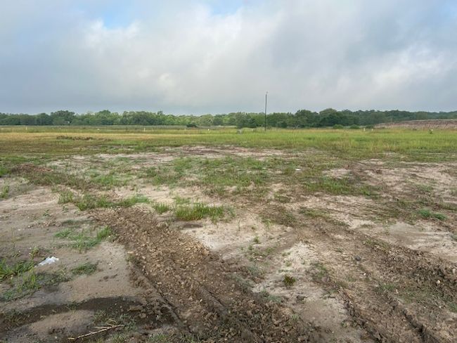 View of lot | Image 4