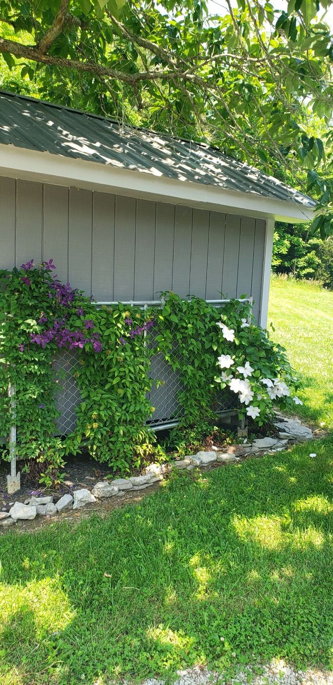 49 Je Sartain Rd, Home with 0 bedrooms, 0 bathrooms and null parking in Manchester TN | Image 49