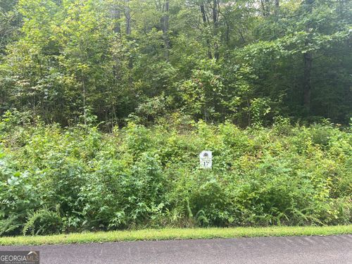 LOT 17 Staurolite Mountain Way, Blue Ridge, GA, 30513-6069 | Card Image