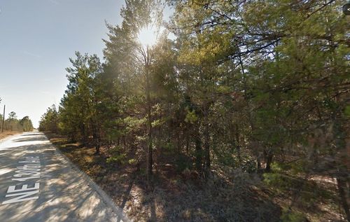 Lot 3 Ne 130th Ave, WILLISTON, FL, 32696-8782 | Card Image